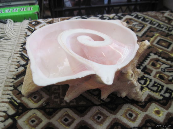 Пепельница(?) из ракушки с Карибов.