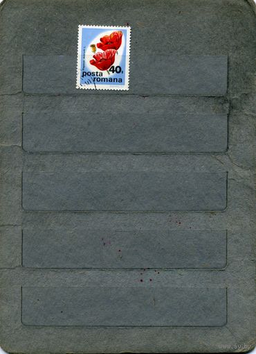 РУМЫНИЯ,1975,   ЦВЕТЫ,   1м