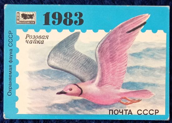 1983 год. Филателия. Розовая чайка