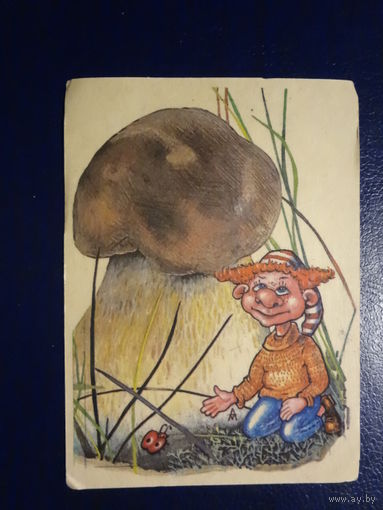 Календарик 1995-1996 г.  Боровик.