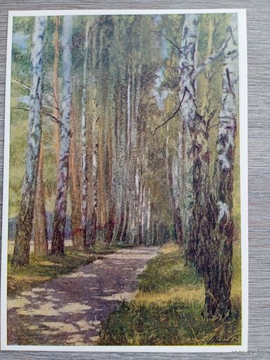 1956. Минаев. Аллея в Поленове