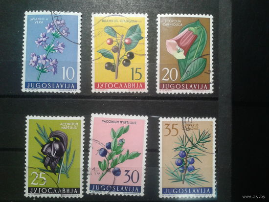 Югославия, 1959. Флора