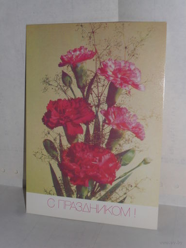 Открытка С праздником! Фото И. Дергилева.