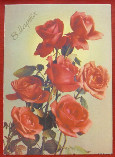 8 марта! Подписанная. 1988 года. Костенко. 728.
