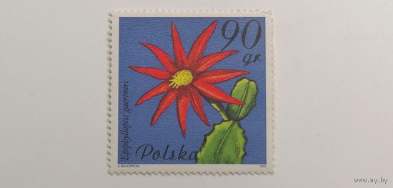Польша 1981. Цветы