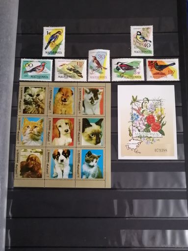 Блок Венгрия флора 1993 год. Серия птицы без одной марки. Сцепка Манама кошки.