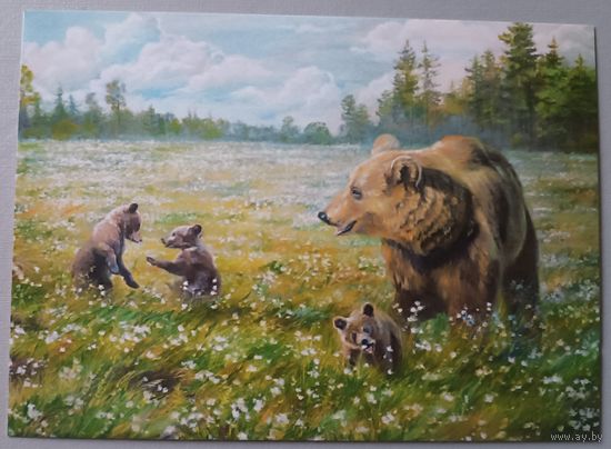Медведи. Юлия Неприятель. Авторская открытка, глянец