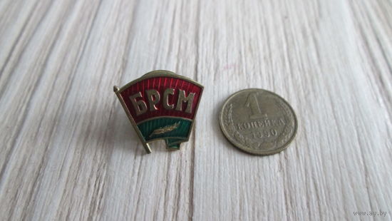 Значек Брсм закрутка и флажок Беларуси ,Цена за все