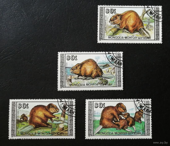Монголия 1989 г. Бобры. Фауна, полная серия из 4 марок #0160-Ф1P31