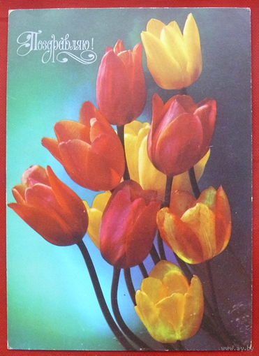 Поздравляю! Подписанная. 1979 года. Костенко. 591.