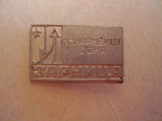Зарница.Юнармейцу дона.