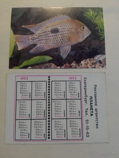 Карманный календарик. Аквариумные рыбы.1992 год