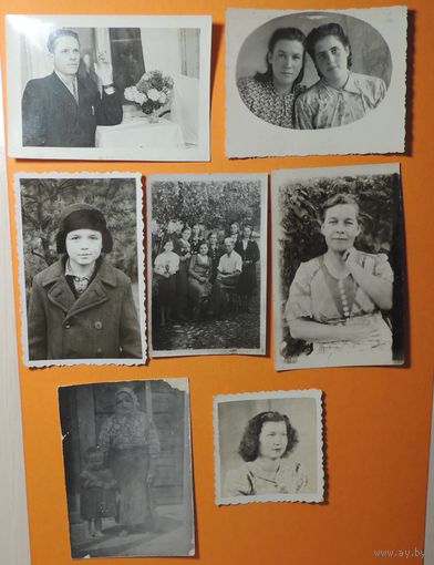 Фото "Сельская жизнь", 1940-1950-е гг., Полесье, 7 шт.