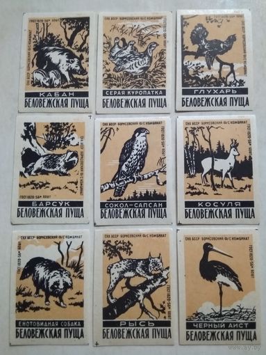 Спичечные этикетки ф.Борисов. Беловежская пуща . 1960 год