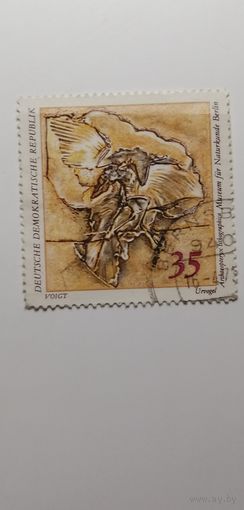 ГДР 1973. Музей естественной истории