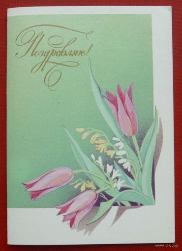 Поздравляю! Чистая. 1987 года. Кузнецова. Мини.