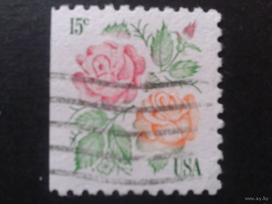 США 1978 стандарт, розы