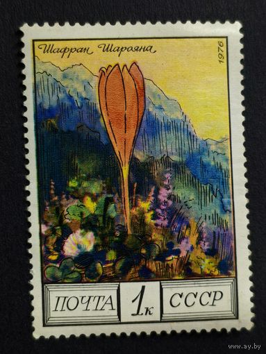 1976 СССР. Цветы Кавказа. Шафран Шарояна