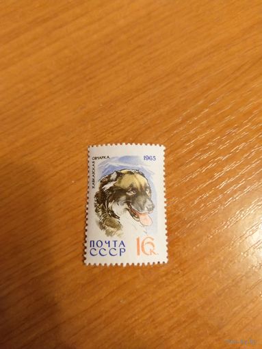 1965 СССР Загорский 3082 фауна собаки чистая MNH** (с-13)