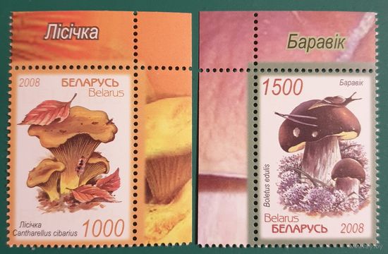 2008 Грибы съедобные Беларусь