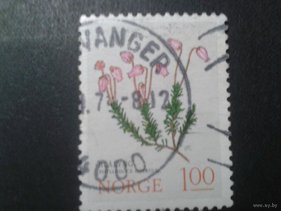 Норвегия 1973 цветы