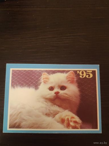 Календарик,кот,1995