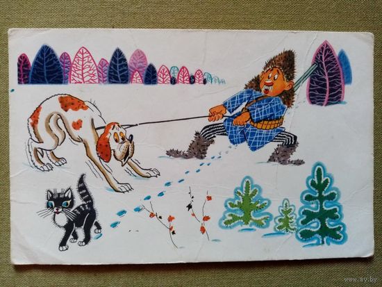 Орлов Шварц 1968 Суеверная собака