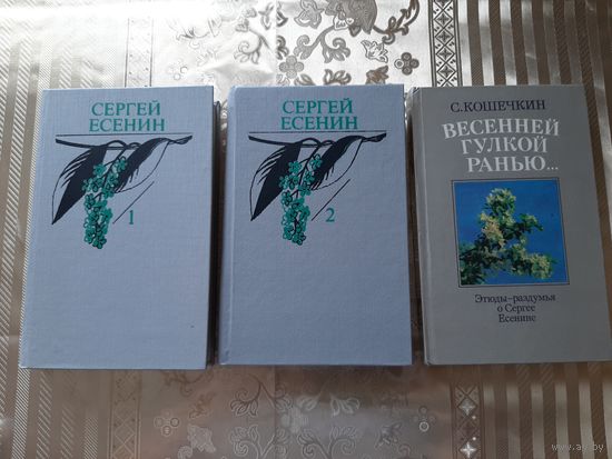 Сергей Есенин. Собрание сочинений в двух томах.