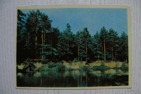 Ананьины А и Т., Сосновый бор; 1965, чистая (изд. Минск).