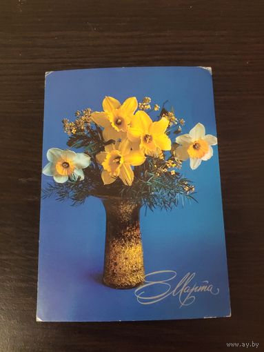 8 марта,зеленова,подписана