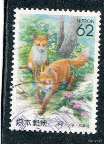 Япония. Фауна. Лисицы
