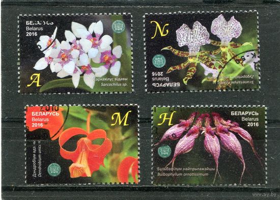 Беларусь 2016.. Цветы. Орхидеи