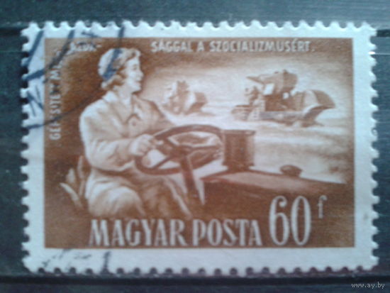Венгрия 1951 трактористка