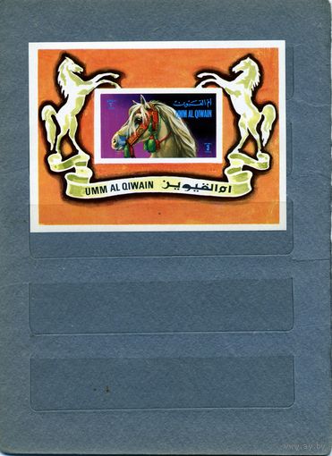УМ АЛЬ КВАЙН, 1972, спорт, блок  чистая