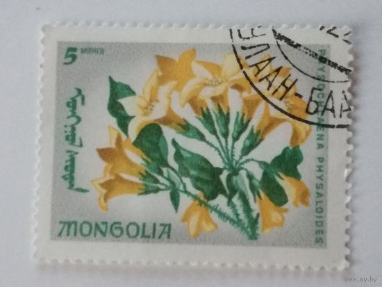 Монголия 1966. Цветы