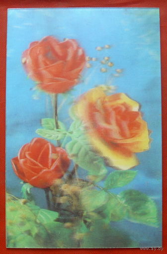 Поздравляем! Чистая. 1984 года. Стереофото Емельянова. 75.