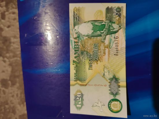 20 квача замбия