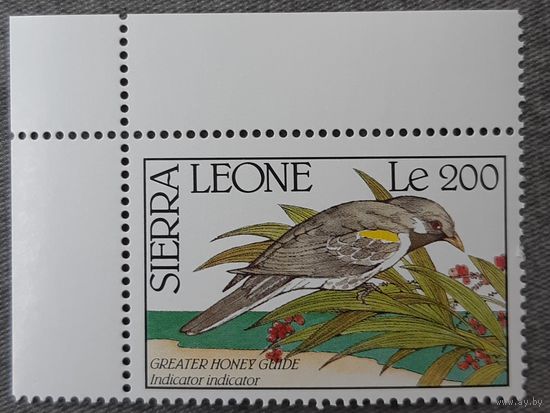 1990  Большой медоуказчик Сьерра -Леоне