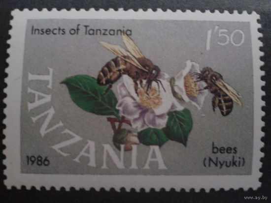Танзания 1987 пчелы