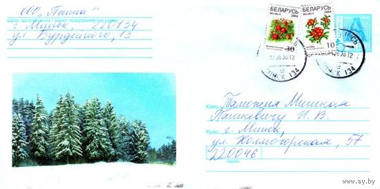 2003. Конверт, прошедший почту "Зимний лес"