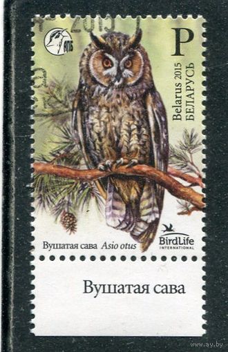 Беларусь 2015.. Птица года. Ушастая сова
