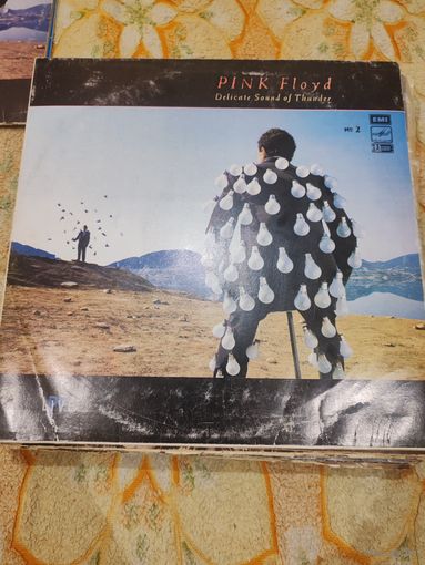 Виниловая пластинка Pink Floyd