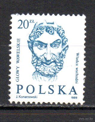Стандартный выпуск Польша 1989 год серия из 1 марки