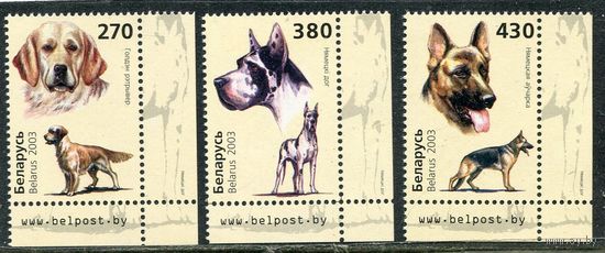 Беларусь 2003. Собаки