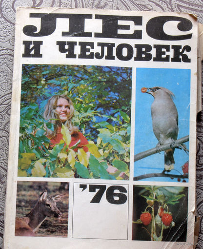 Лес и человек 76 ежегодник