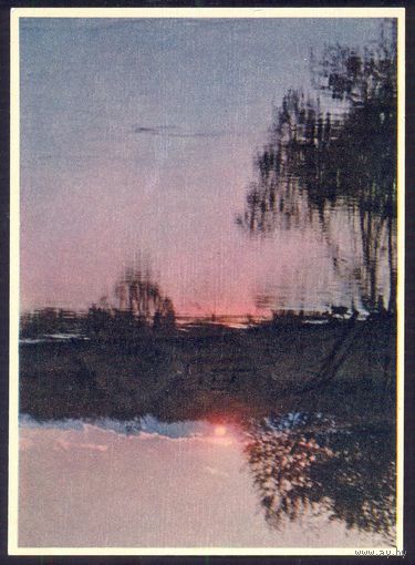 СССР 50-ые года  Издательство "Звязда" Беловежская пуща р.Лесная