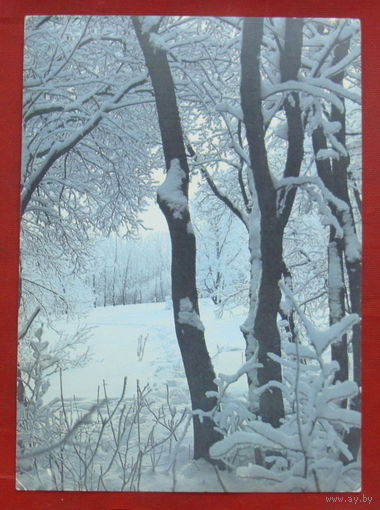Зимы узоры. Чистая. 1986 года. Фото Скачкова. *187.