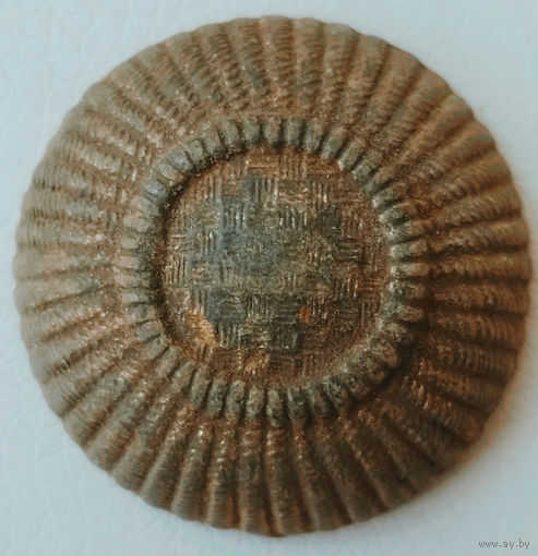 Гусарская репейка