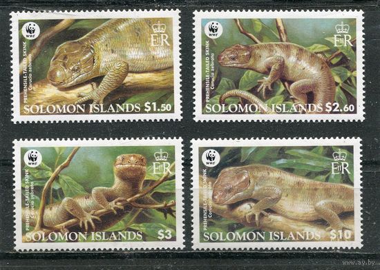 Соломоновы острова. Фауна. Ящерица. Гигантский цепко-хвостовый сцинк