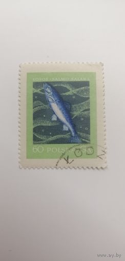 Польша 1958. Рыбы